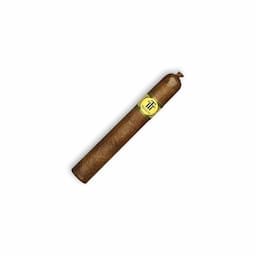 TRINIDAD REYES 24s 特立尼達 雷耶斯 國王 24支/盒