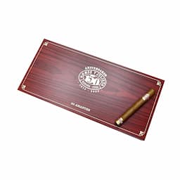 Romeo y Julieta Amantes 羅密歐與朱麗葉・戀人 20支/盒