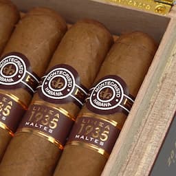 Montecristo Linea 1935 Maltes 蒙特 1935 馬耳他 20支/盒