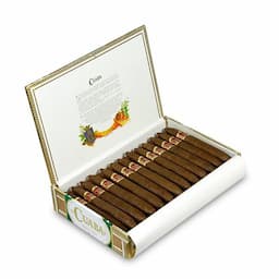 CUABA EXCLUSIVOS 25s 庫阿巴 獨家 25支/盒