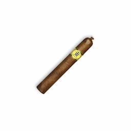 TRINIDAD REYES 12s 特立尼達 雷耶斯 國王 12支/盒